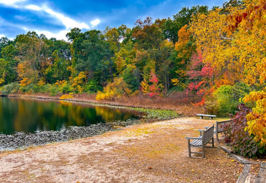 Hidden Lake Gardens, United States